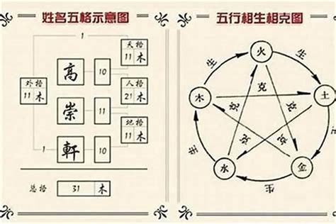 青字五行|青字五行：姓名學解析